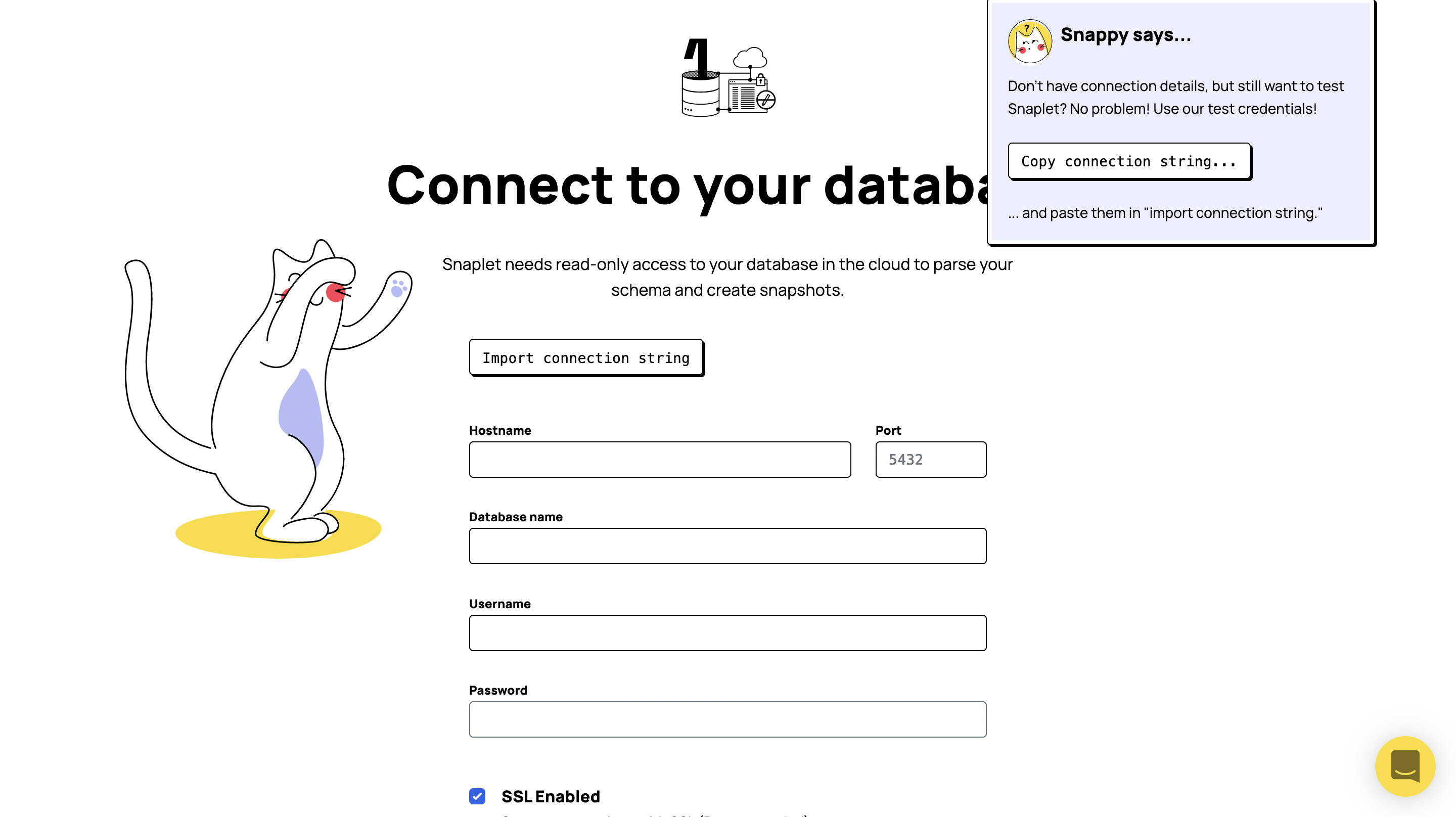 Snaplet onboarding connect your database