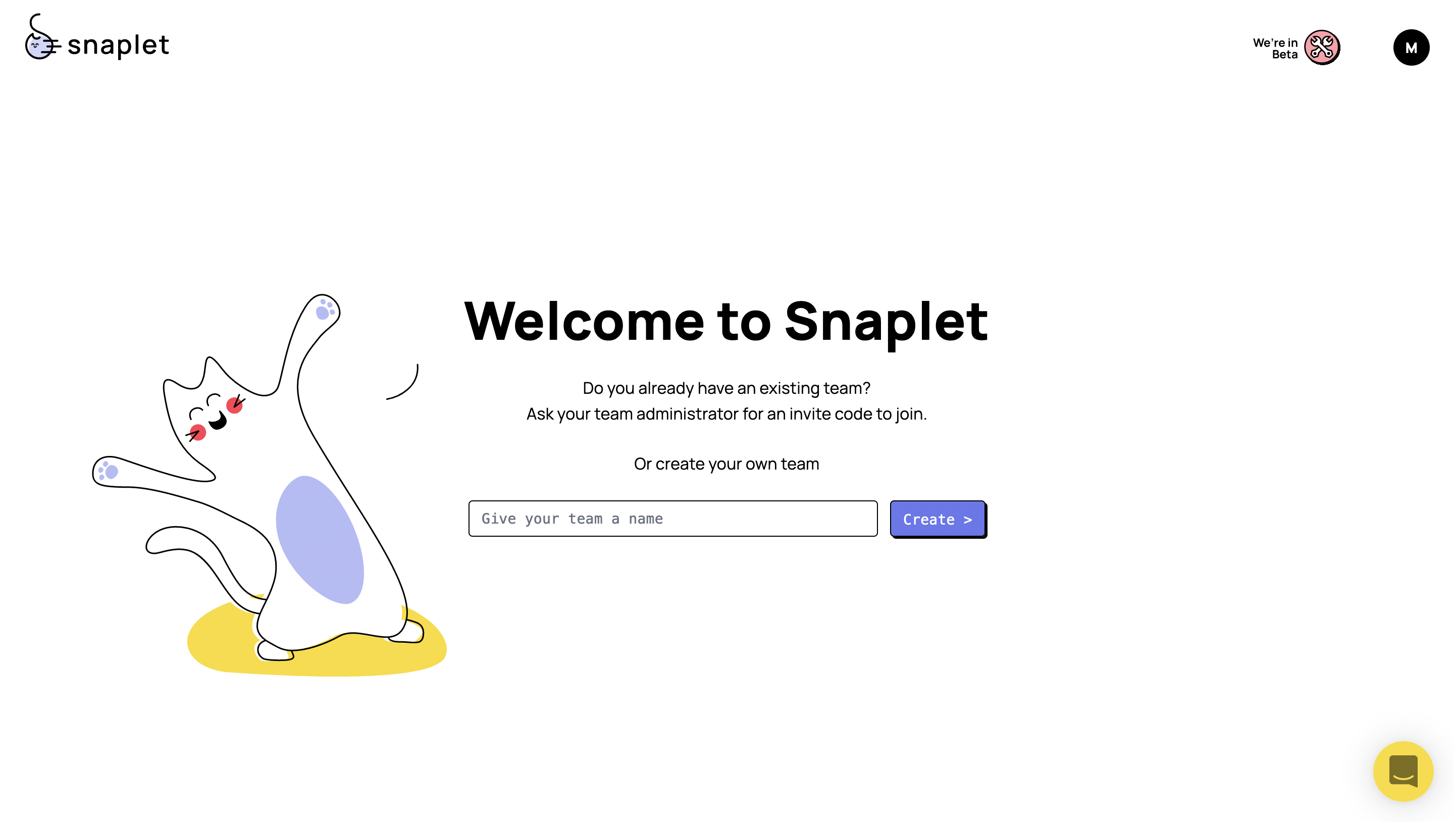 Snaplet onboarding select team name